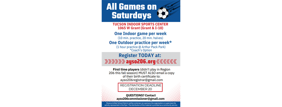 Indoor Soccer Details